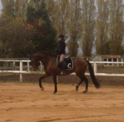 Rafaelle et Viva
