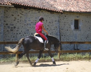 Bocador extension 