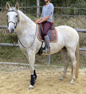 Alizée La Goudelie, 1,64m, bien charpentée, travail de basse école, sorties en extérieur, très bonne jument pour un cavalier confirmé.