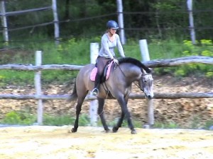 Uranie 16 ans, trois bonnes allures, travail basse école, conviendrait pour un amateur éclairé. 1,60m, dentiste ok.