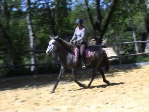 Ushiba trot et Dorte mai 12