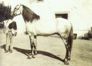 agareno1931mv