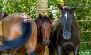 Joia entre ses soeurs à l'heure de la sieste